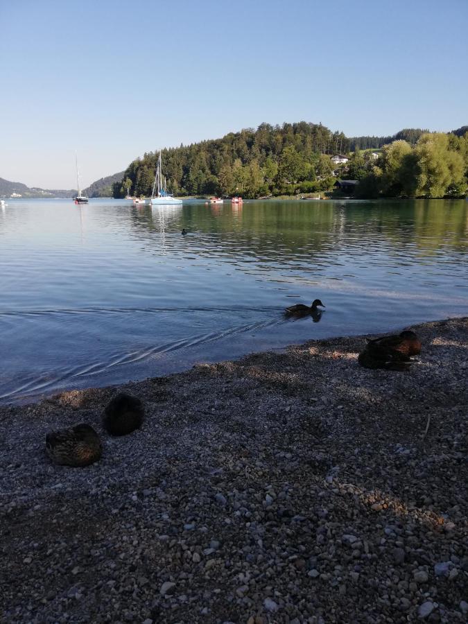 Apartamento Feichtingerbauer Fuschl am See Exterior foto